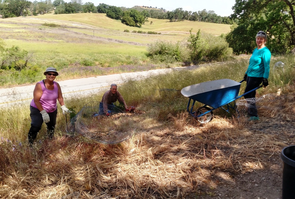 Kathy, John and Ellen getting it done!